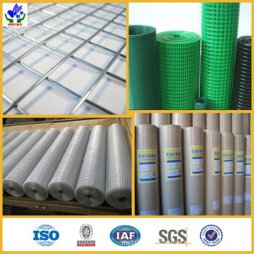 PVC Welded Wire Mesh Rolls (HPZS-1014)